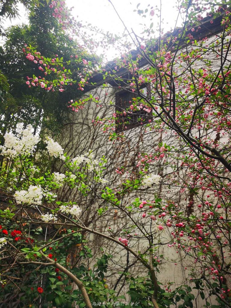 FmRmt-8tGb9OVyju_InyMVeTW5X-EVQEdEe5KKDHyWZRPCPLjUF0UcK_Gaqx9-iw