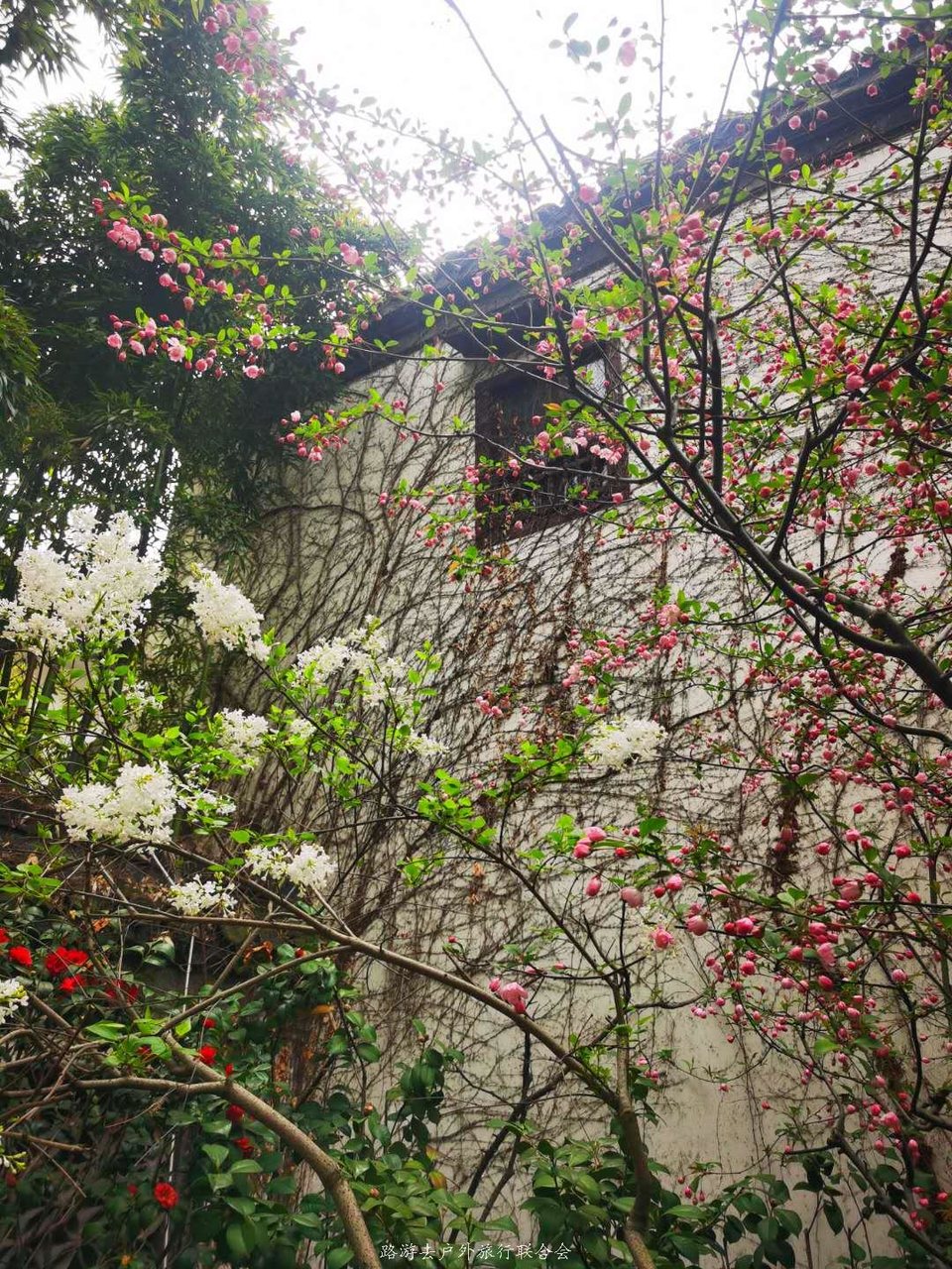 UNdrxRtEvWrTSXmmJsZ9-RTkLWFMNB0d530TZrM9LDNreVg4-A01uQ2VbTPbTBkE