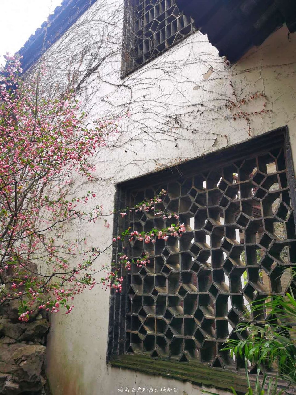 aqw3nt0KJgXqhMsDmGyCErJH0jnNhv20P8Xsq7Ft8e5i_o8lUTqg2PiUbE9cZknM