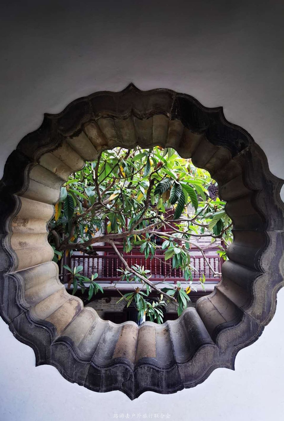 VRWwSiYgIBntZcsoEynW8ndSrF84_y83kba22HHLGWi4on56NGG3AMkH3Xe33gkF