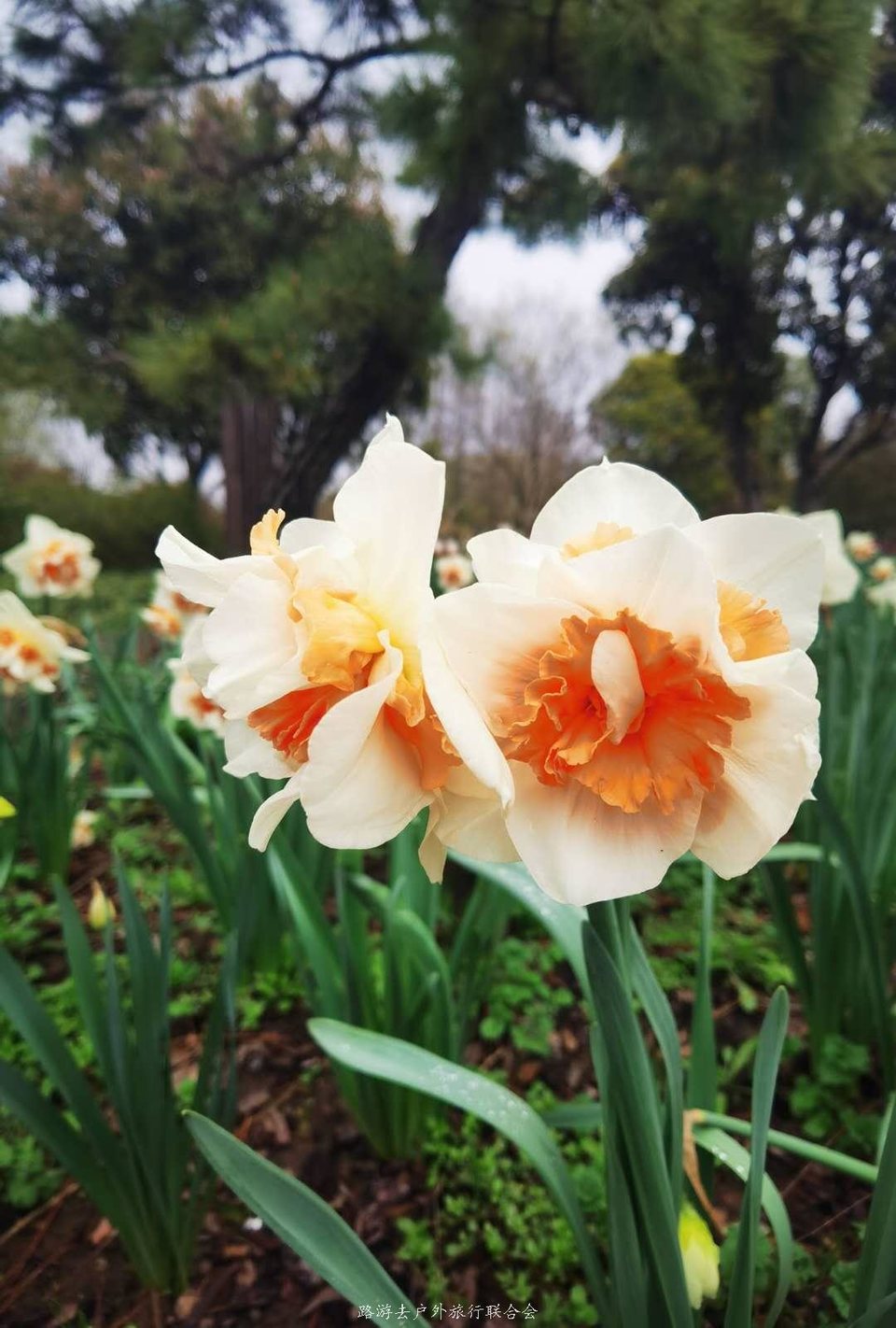 CyiIaaXLJbTtx0IjUfkEj3MfhKMNKphsZUPoK0fJtpJBwFQKvU81B9l8dha_nheE