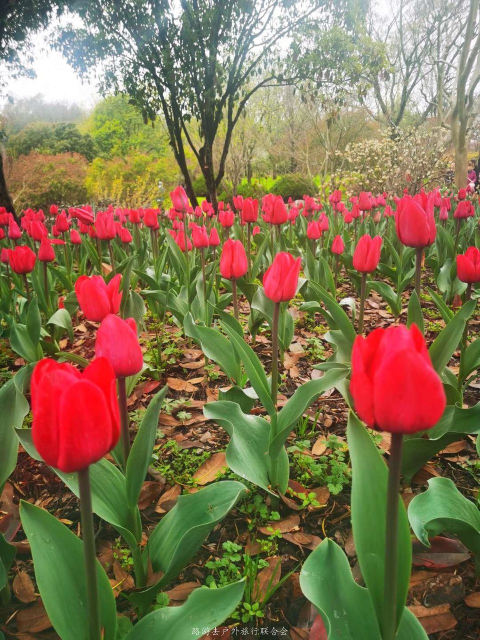 dlsKGaHBfWRTI_1tNptChOVdhwIUOLjA5RGboPZQtilN0iLTYRtRTJ2YsdXRCC5d