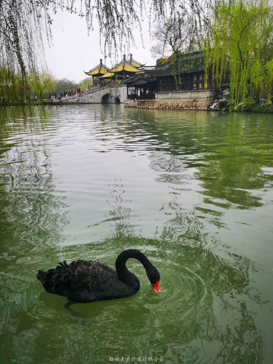 VuMW0xLmfnq3CwixykOfAB9_r31o02oP0Vo9RTk4ipohktLCptJWSxI2k6KBb8yY