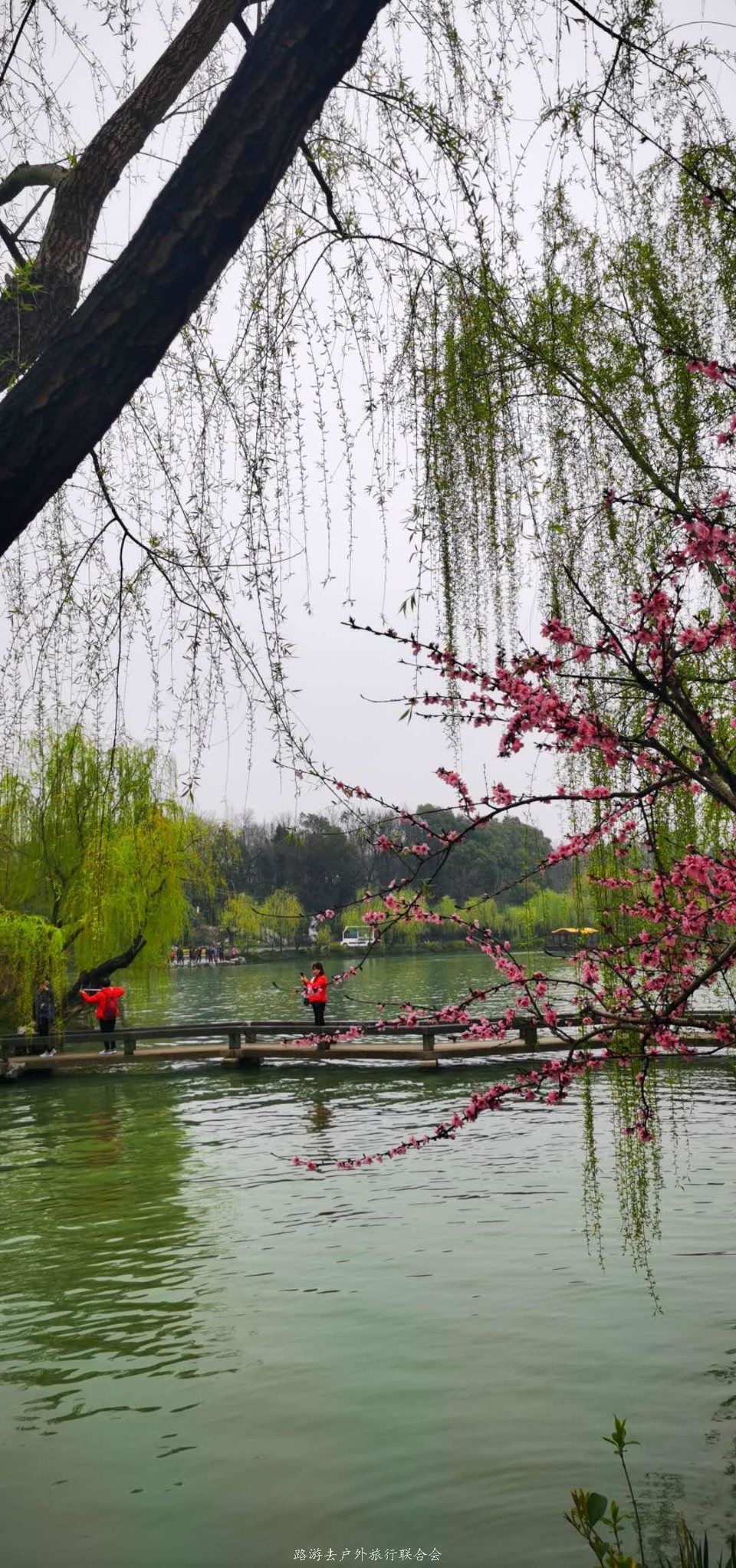 ljHhscQljMxQ4bFnF0Aj76H7PNeHDTxPmzuDWGGDFtnqEGRp0IbO0O6j0_C9yNHM