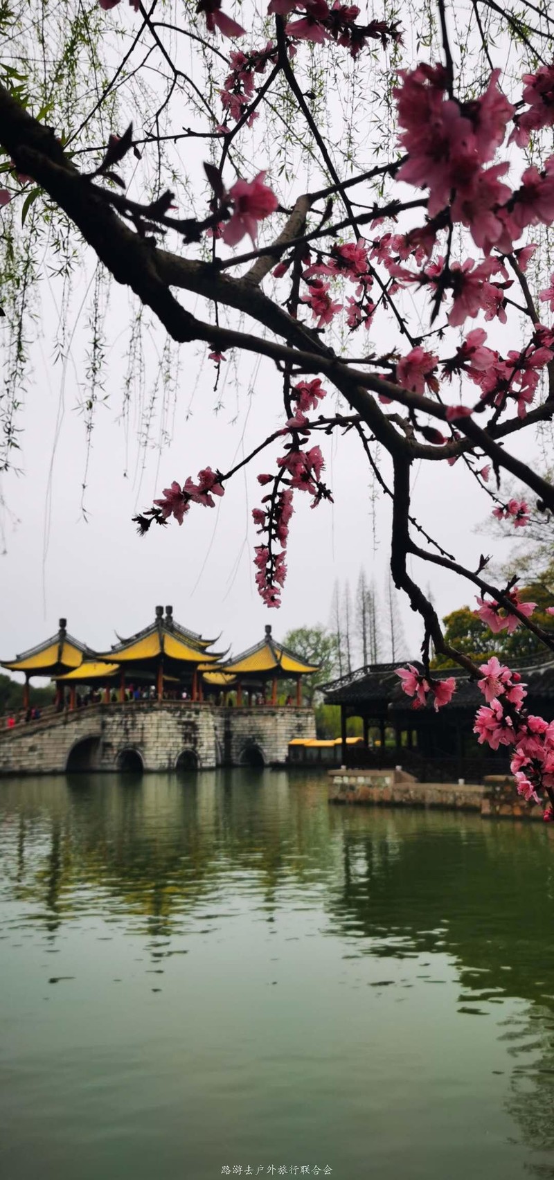 pag4TWjKd2VtX99jrkKMuxNmb0TAIOJAdxlsykPZURf4cmqVF15TktSVFgMehEh1