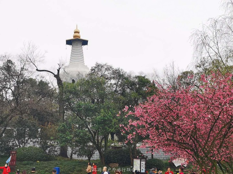 sk8bY74x1kxARu1aow9uIqQQ8YI-iXaywIJCrOtPnMPPN0X9KZyrKdgCIXG8xebs