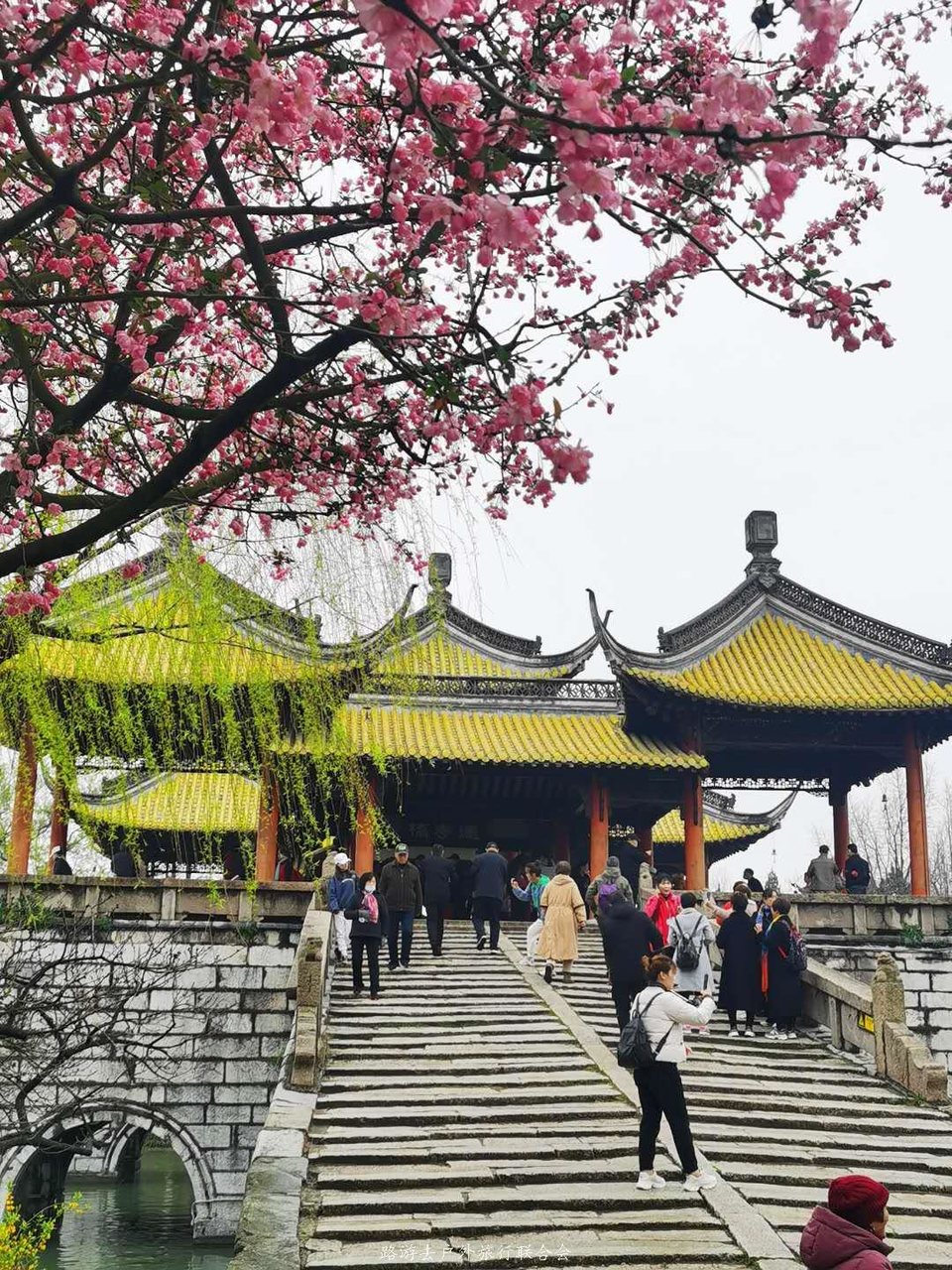 3GGZHta0WY7hTdsMd7Y-YU-PSIF5-tr84Rc5xtcIAWGt0eAGH5rpeEMSBWyRYKVB