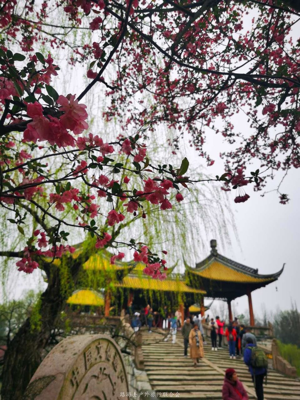 UNLxg-e-_rsSRdlrWCQXDsMwo4M1-W2vcDarKzJ05fww0bQxY_Nj7JrcginuCDav