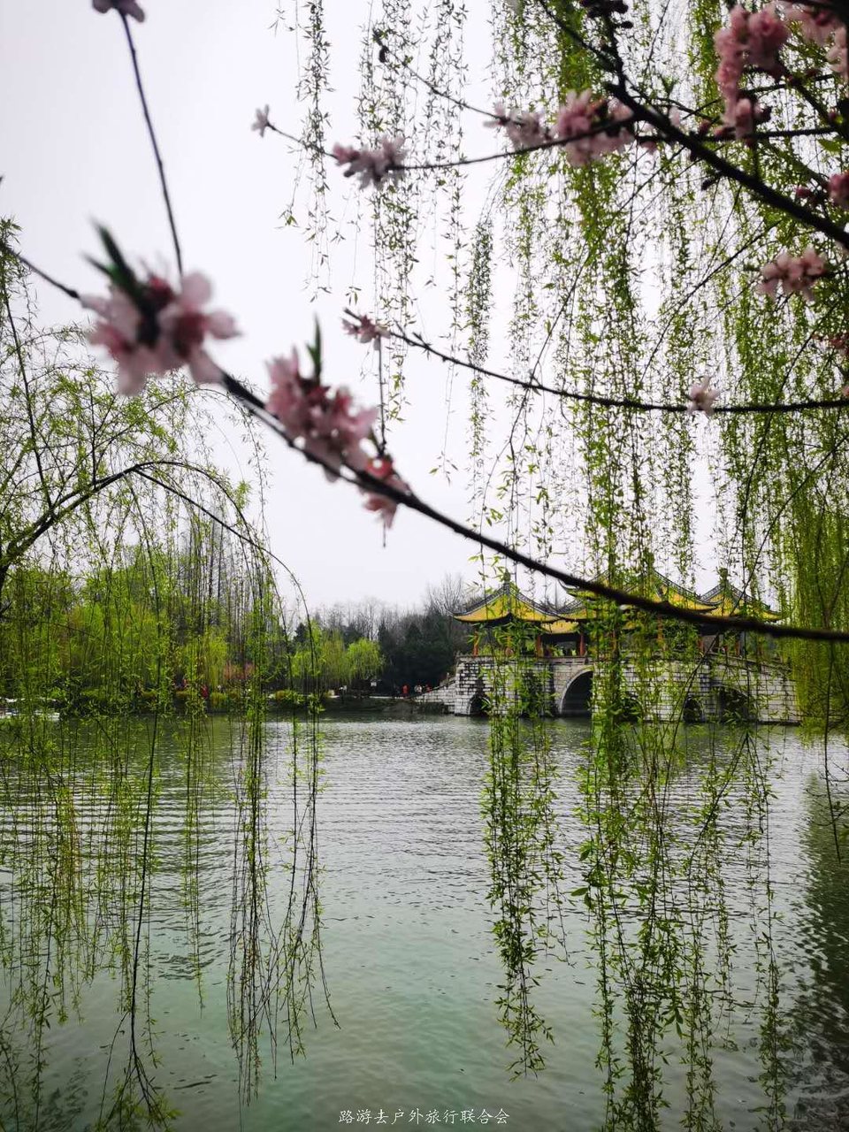 ox_JlT05VDA3MrauUEAmi2DbkLlg92cGmSG9WjI7HhelV9OBRWc2SG8nM5lCiOYe