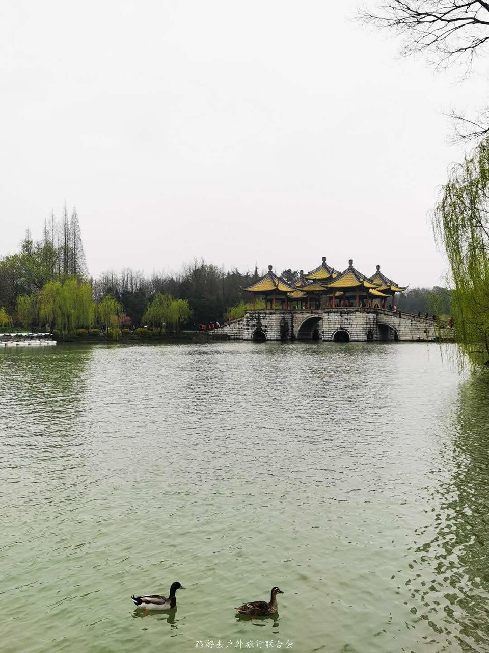 Wb2rZxlKAhFj7ETA94DEksz0Jmu1EM2c1PZPCcoMl8vbj1N7L6lChqIe0GRaD290