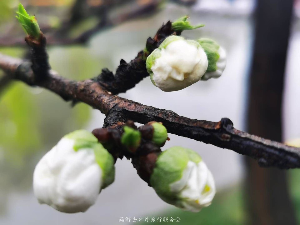 zjVCtLQ7icrvtaHs0xTqU2CBqfkfvvEfFsI_ASIglDL29COMnmPHHfyiWD9KqACU