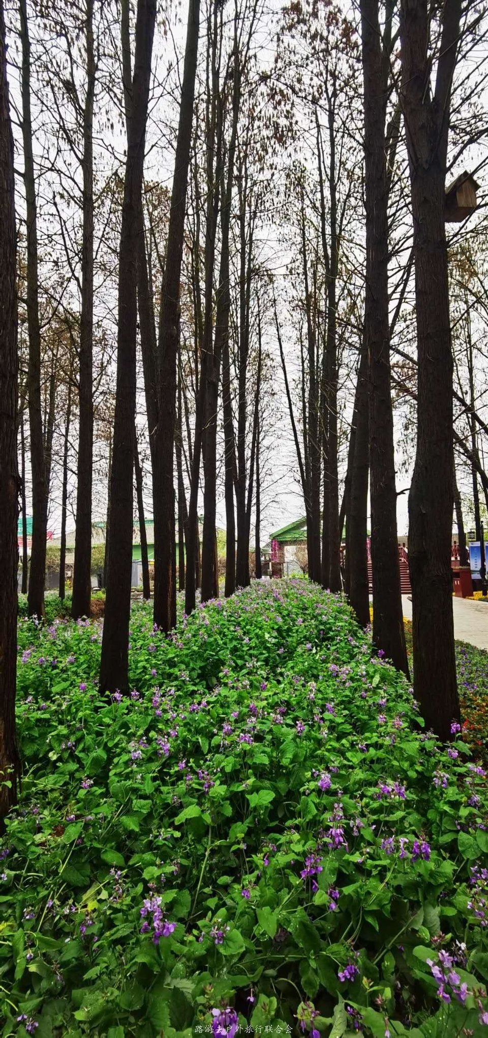 K8Q_Qa8J3_gxNG6Pl3R0zSGgU1613eH3qljpFrnM1V5CC3_820ia2F933R-t5fYj