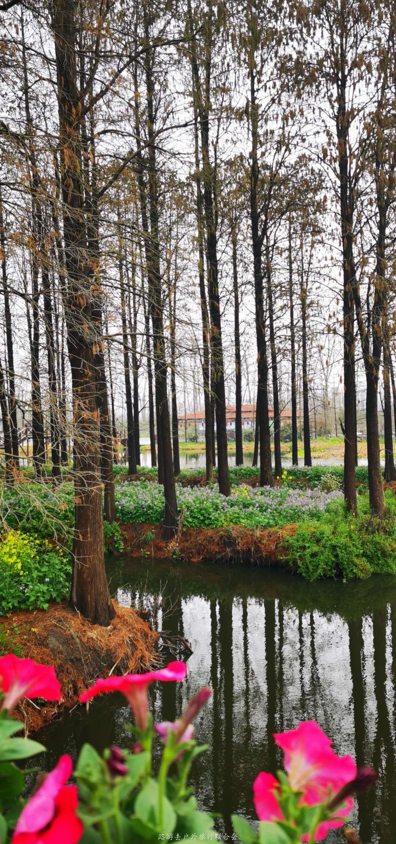 Y4Qf7GTRO01nGY54NCuZWDRF_STtZR-US4T8bi-BhazUEBGaR1vWUeBf2I1npuo6