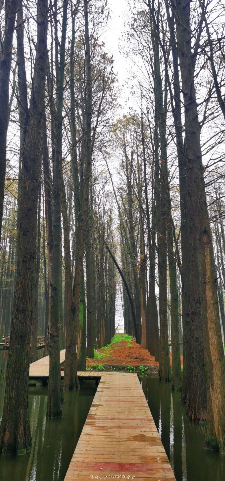 0zAy5oXQ1kZmWNeY8Uff1vio78fdTT1m_mNew1aqCmn3yqBtFQiEaaEI_pRitd43