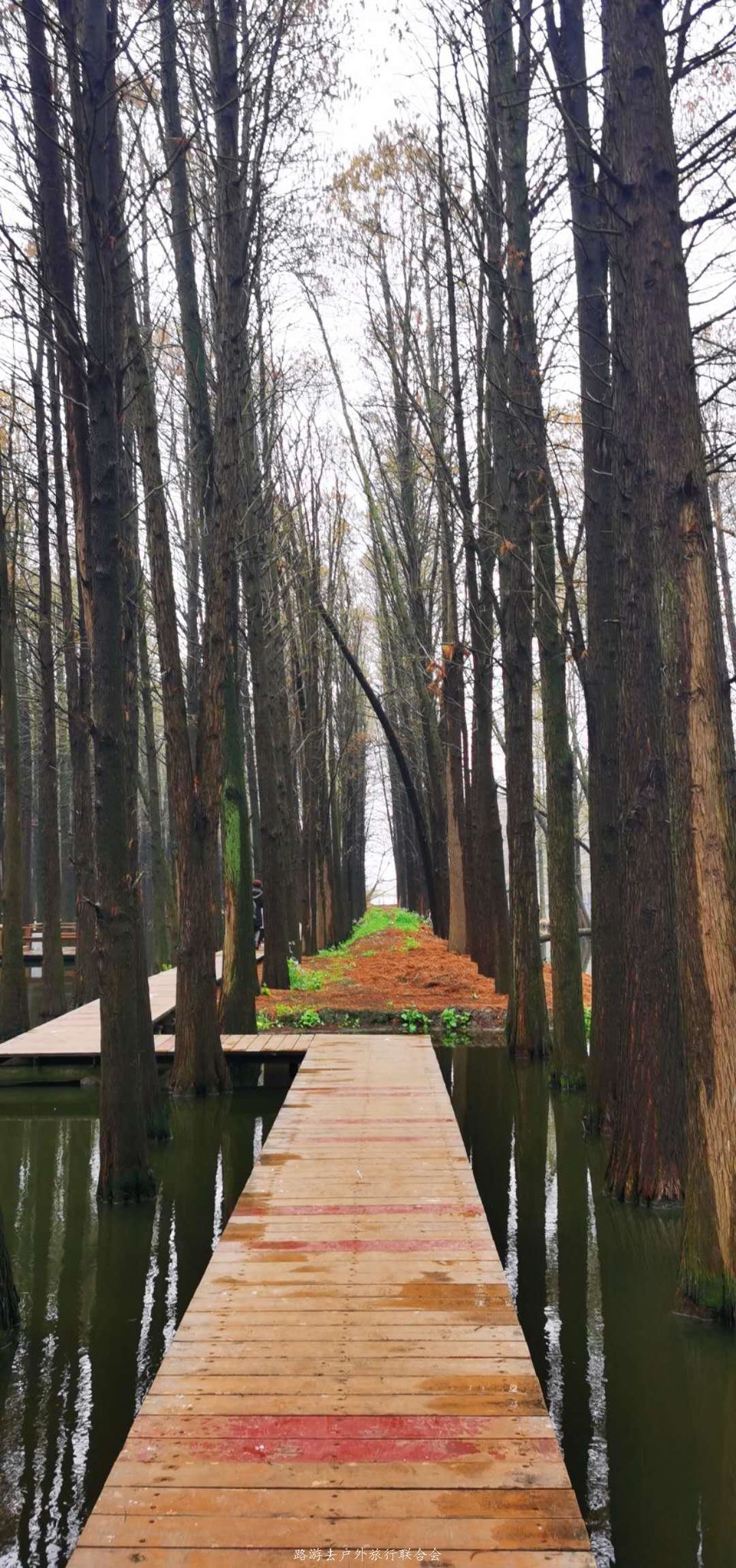 cjJLzMaGnAWI9cSReRxZPZqC82tOHIrNAaocR4xOR1n5tAo5qLgIfhNtuvZM93HK