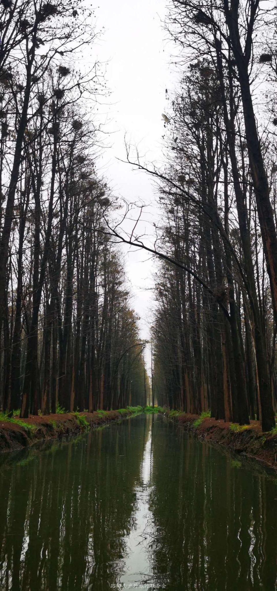 FMHjOZGuqMoon8sFZJ2WPHJ_3gQun5252F_MxpQ_Et_ufrtPwNXqFY8Ltqg5qlI3