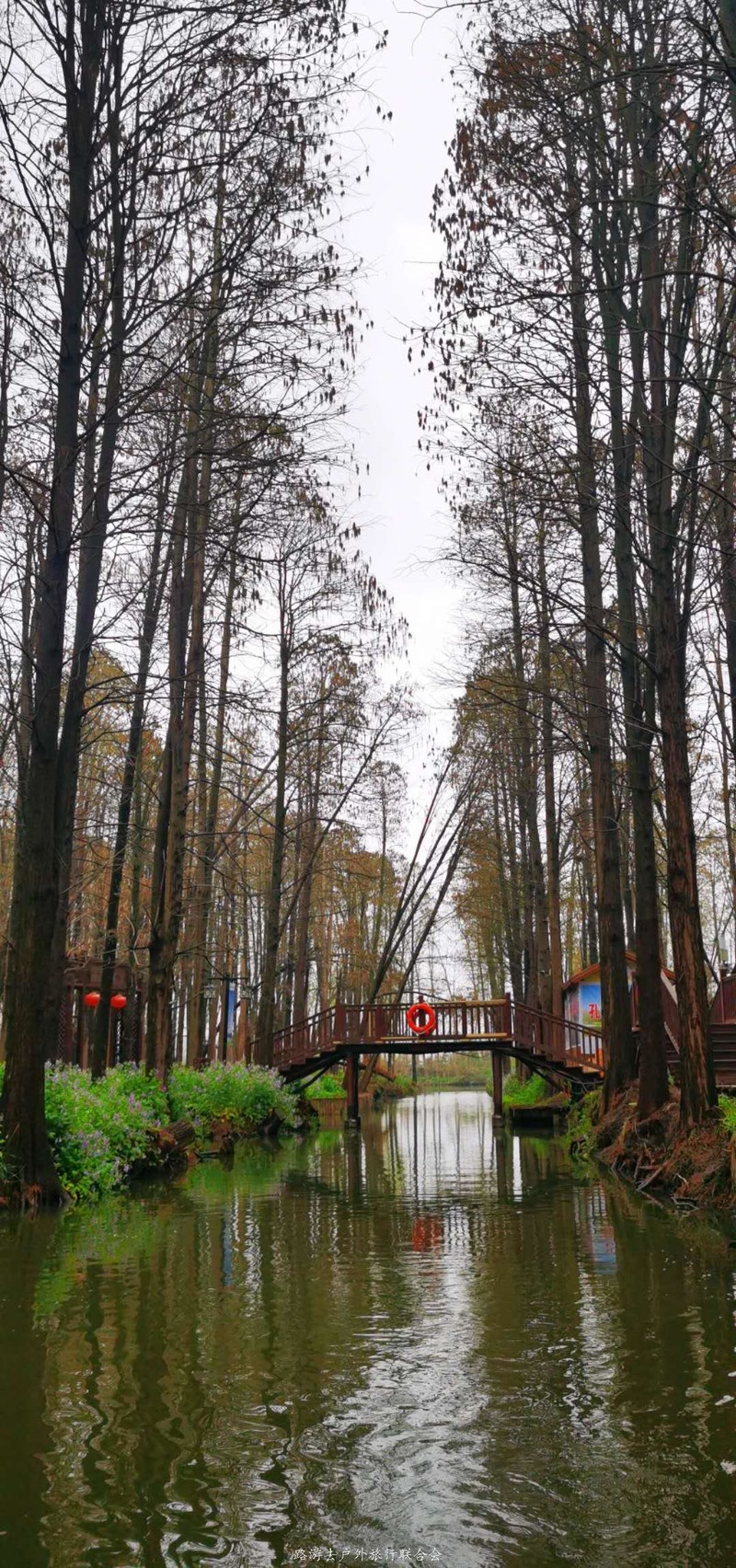 Y4Qf7GTRO01nGY54NCuZWDRF_STtZR-US4T8bi-BhazUEBGaR1vWUeBf2I1npuo6