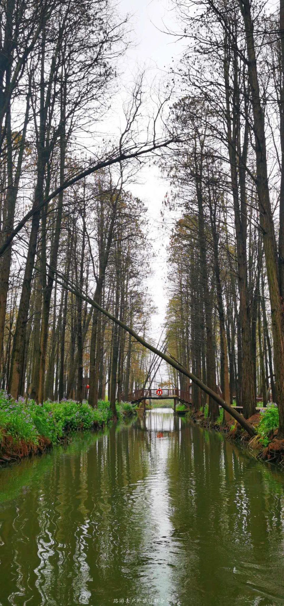 lJm32NBBeA6NO1fHeJxgWSu5AVHwj4tH91iYA_OKXtteJtwXqSghvmBAZddzqty2