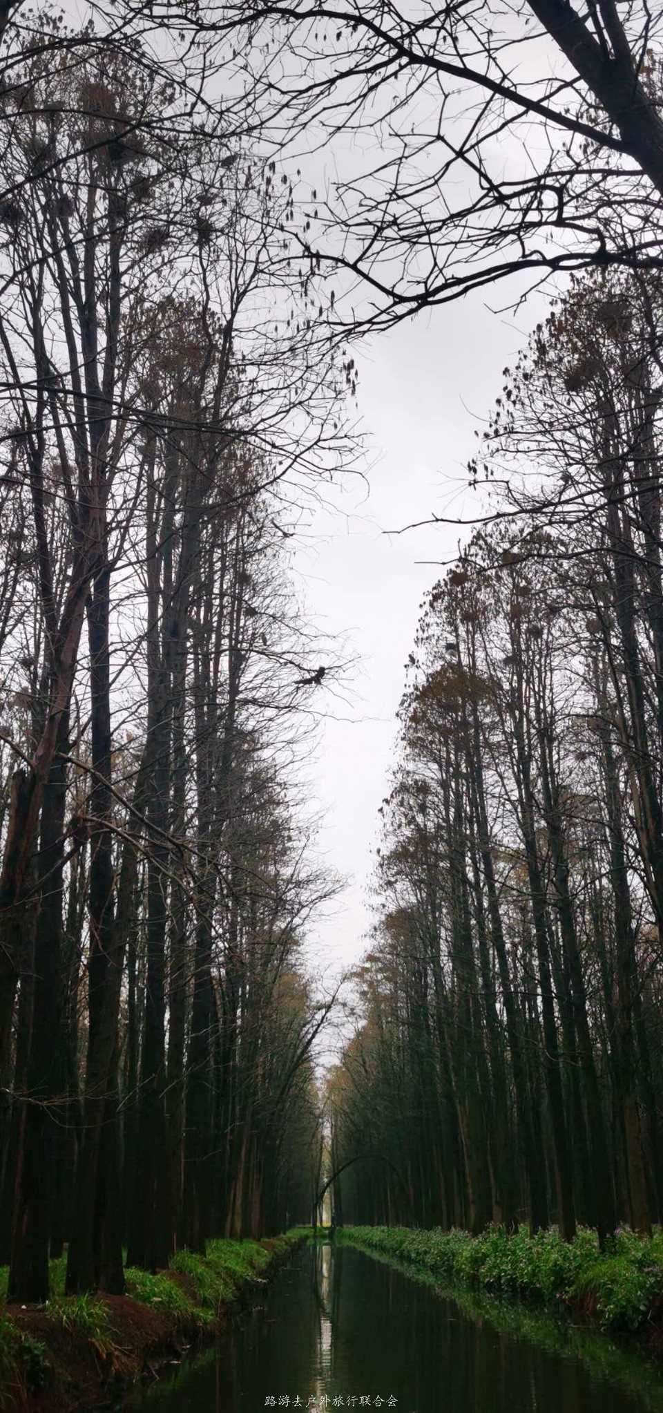 -exoLlgw6q-lOnOMv8x4PkBdTA_iH_3r6-rMsZETedoSR0QMguY8uA6-uEDBbDNK