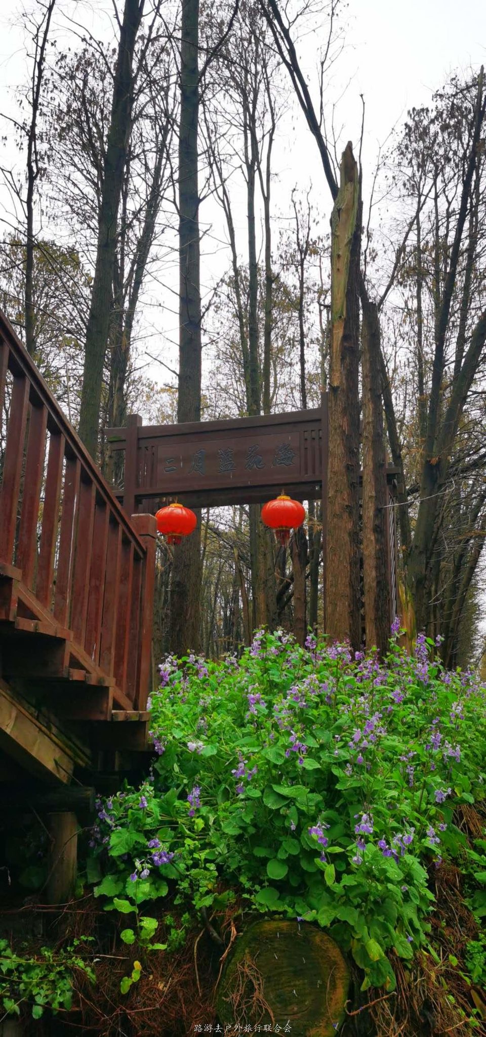 UTgZJH6pN5BvfKpTw52LW4ve5CY2aShneM3o52J4FE-0sJlIga2I_s087YCqsaG1