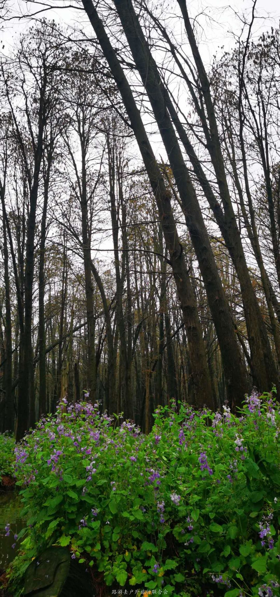 6bs9xryfhNirlcn_h0sU1HOyrkwoLc7r6loDoFLpifsuPzhJZddB6KCPZNrH2dfJ