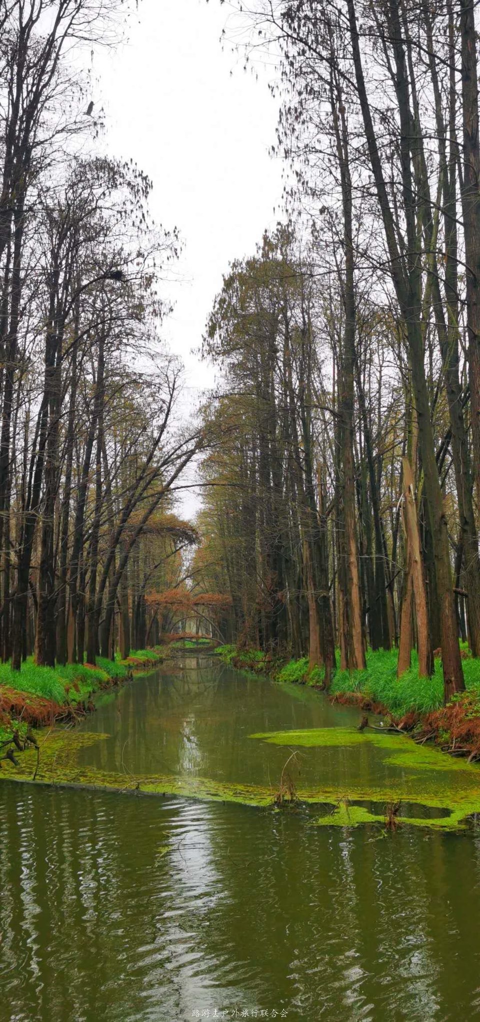 Y4Qf7GTRO01nGY54NCuZWDRF_STtZR-US4T8bi-BhazUEBGaR1vWUeBf2I1npuo6