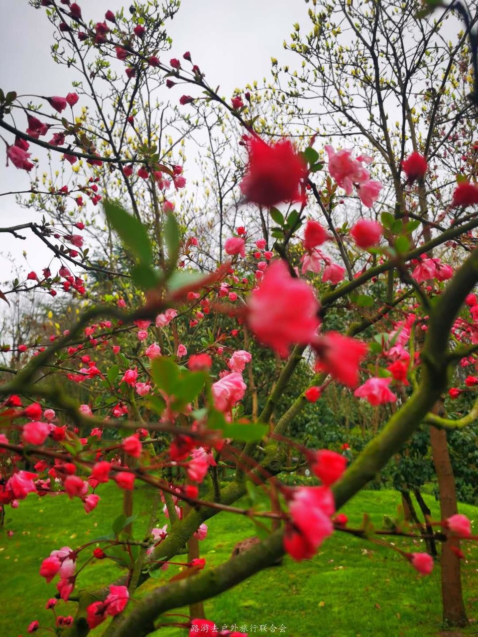 TtgsoRCUIUSn9ACHxSN3sWDOW-2jeVan8JqvdfOtH70LLwwcy5fbg1o9JnBgDB7C