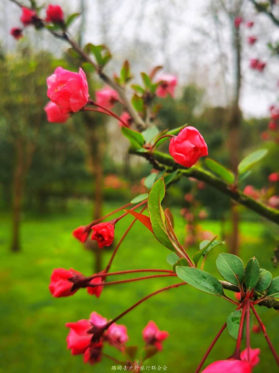 Sz3Ejb8coSpkFLmT_iXBKsSimogNxO9NgOhdqd2Uh4Z2pJw5-G4dQnmjxr_IXV4y