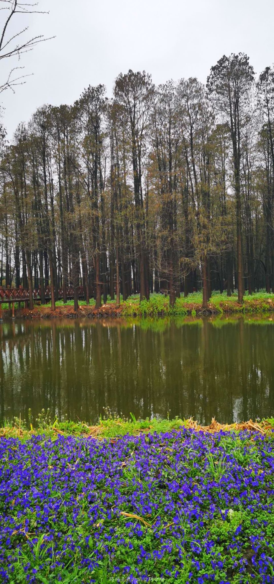 shg1dlwYr_cOEd9_uHOR1UNWG3YbZNxaoggnOljC4sURIjjDz5omls6i4fzDmIZY