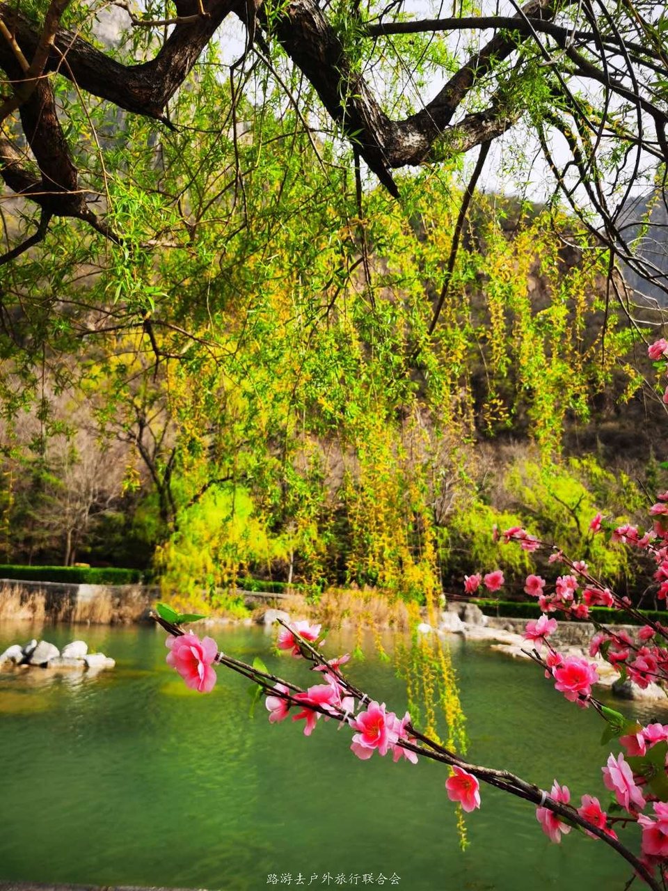 XHCz-ezNQl0aChetS5bN4HwiYnTSYlKlcTKyyV9nQzUIeyjqPgcGf1IYMZJQRWsX