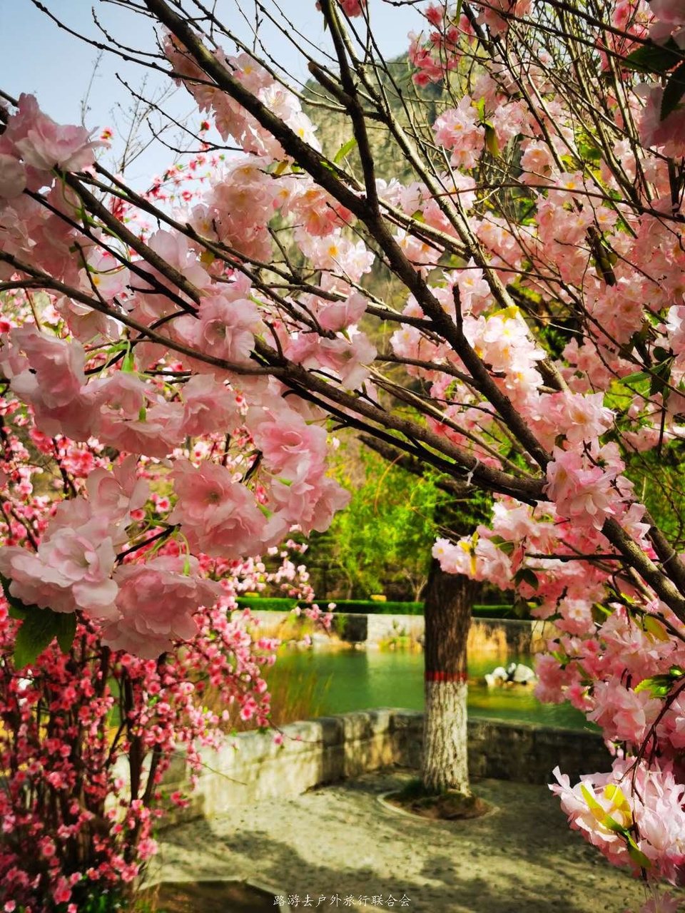 7Ax8iZ7FJMoNktL3vzjFmYmA4l7KykRHColhphzhyM7PoBKWqWaXnQDwy99bW1kF