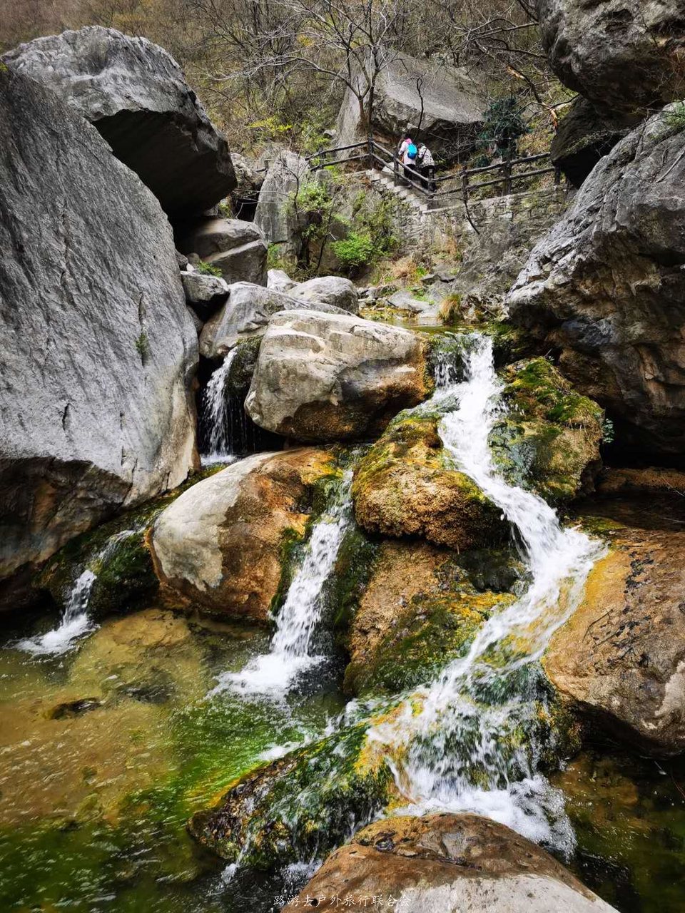 FOSm5eqZt7vTVpo2CF9wgN5LYcA98XBMcDLhEBjzopmQzMdH-n8gFKUSFblQlwXR