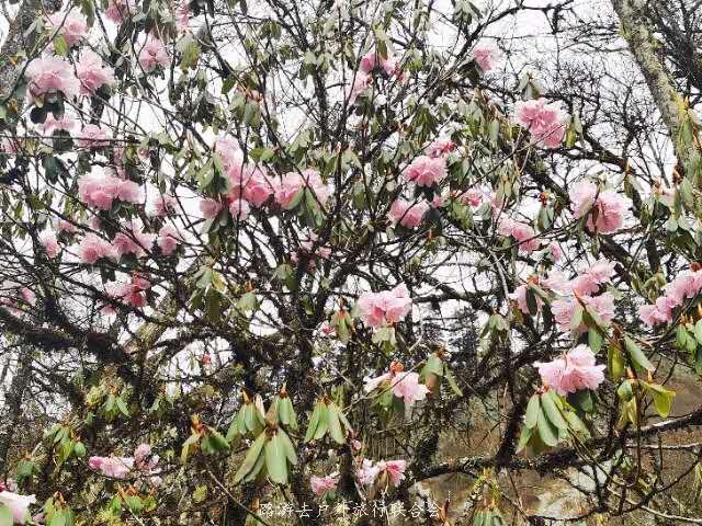 XMmADBeEznM4SpWy4chblsbd37lTNVE1-_vzI0Cl7gNoZODyILkclFGp_GdfKlx7