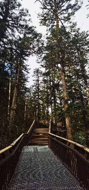 YZ_daOwrfJSzU3lQ5W-TbNRKpdAxKxgWXfS2-YNvTI75a1iKdBJTm84NdqzjvVJu