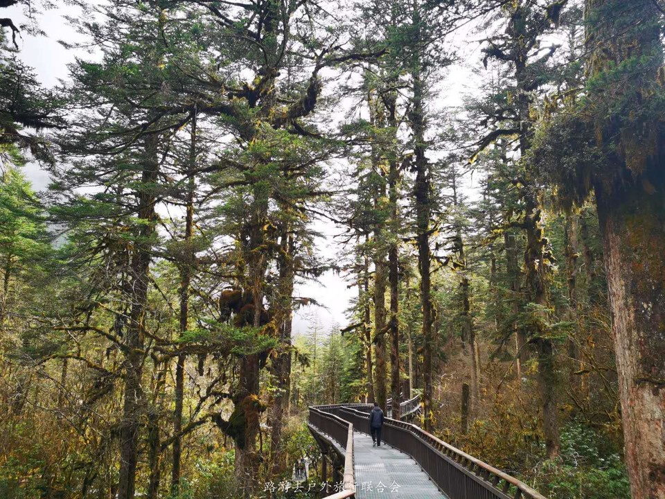 ihZgElLGJnXwnB5wBZDYjuXKhw1wAZD-iX7e6W9REMi97qztogWAlkPTr_htJk5X