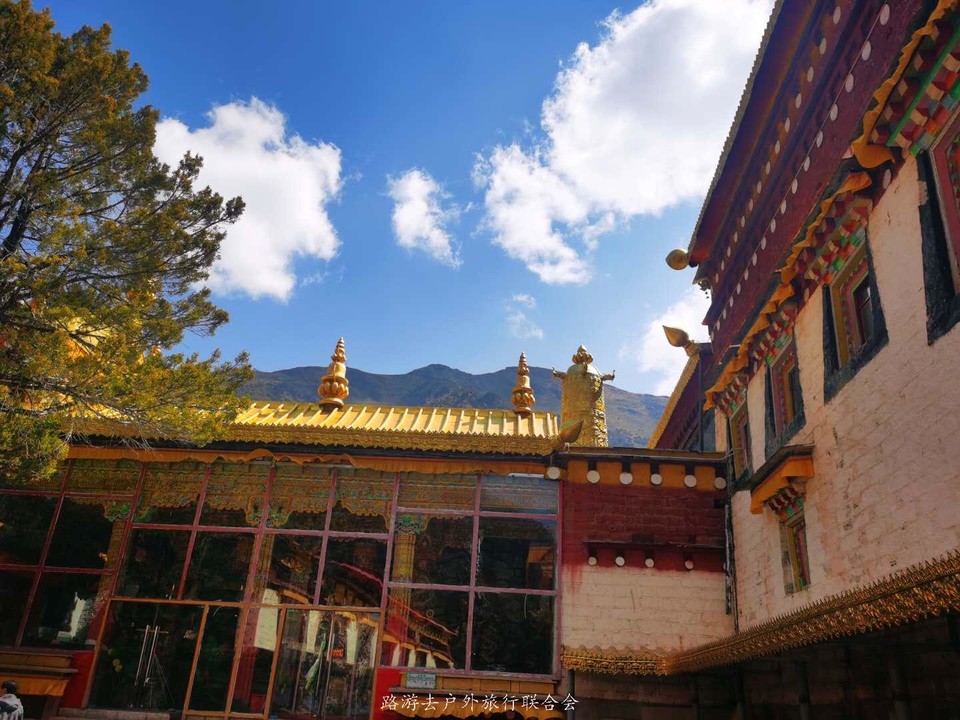 VFr0zpKOA_rZx8tYT4P_jhw_U6kmBTaqOZNnLJQVNVxDiM72t_JW5ixp9LwIWbuA