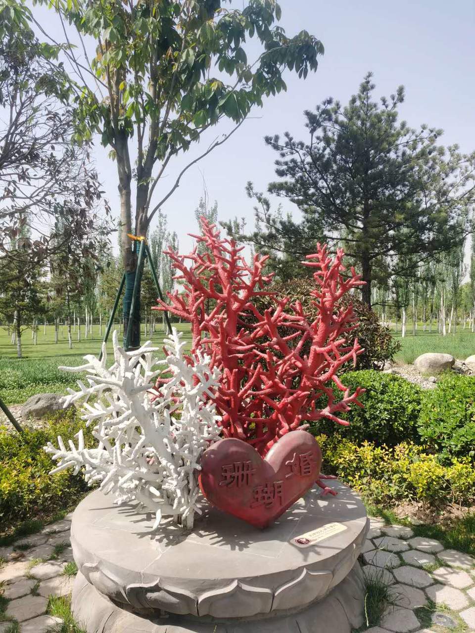 b2Ff16OcPQlpw-n3N00Zb3KgebsdO2ju-Qr6knZijhupfD1R9B-6WolEx5kx14lb