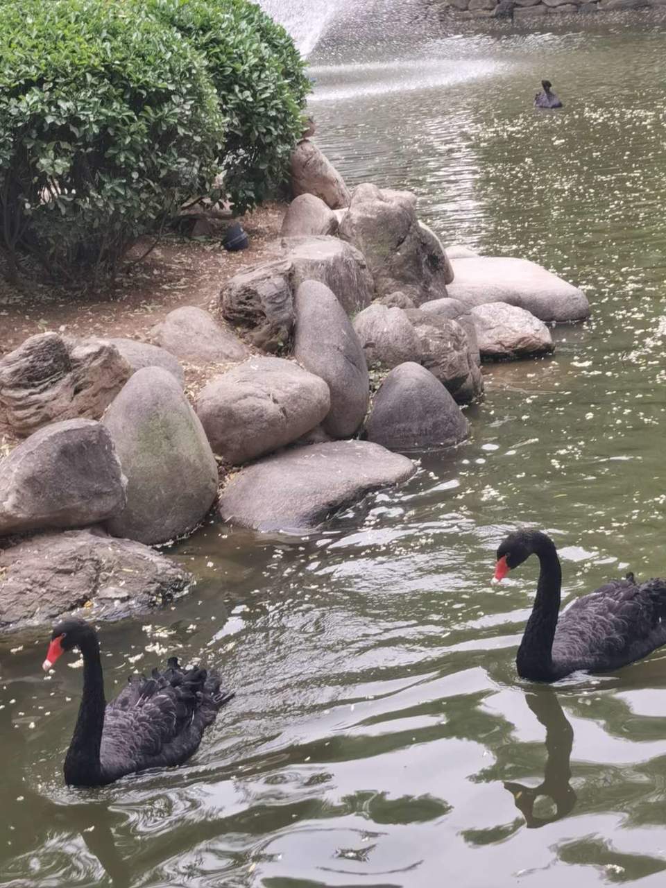 3VtdhTO5sGhOkEXe9Pv2VepfXfOwZDffoEiZXD5AR4k9mQBfkfy6mN6twhwq1glv