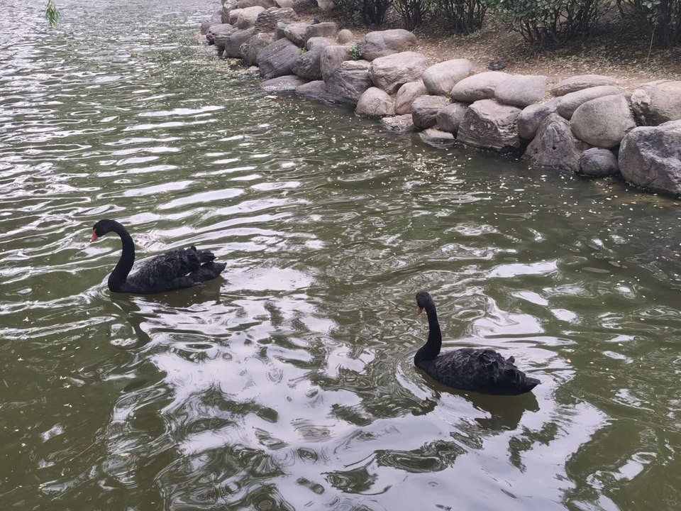 FrEML9PR_VS-X0GBjJdWV0X0ApKjOvKRzS3OGaeDyJtjXDyA9kSxsAZA9ap9avRU