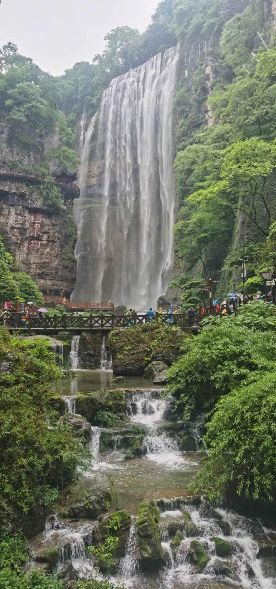 dj3Qn1ss2yMVhbommfi5_nPoNSYebIi_aCgrXfdAMEwgHdDVgLC5IYJsQsIKdPHL