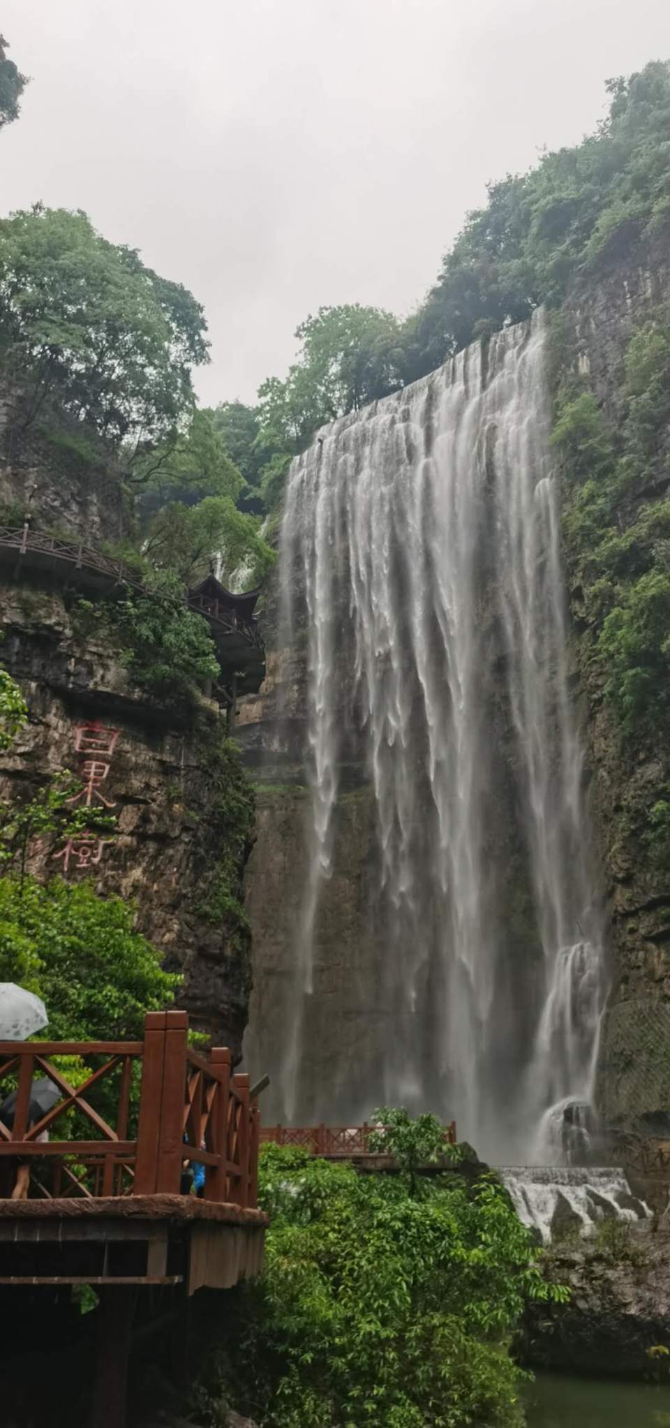 Ka_VTkpIwE09POFHTYhvVlGkgg9DUF9tYMbsyQ0myHOhdTH8s6inBRU8sY6PnFDg