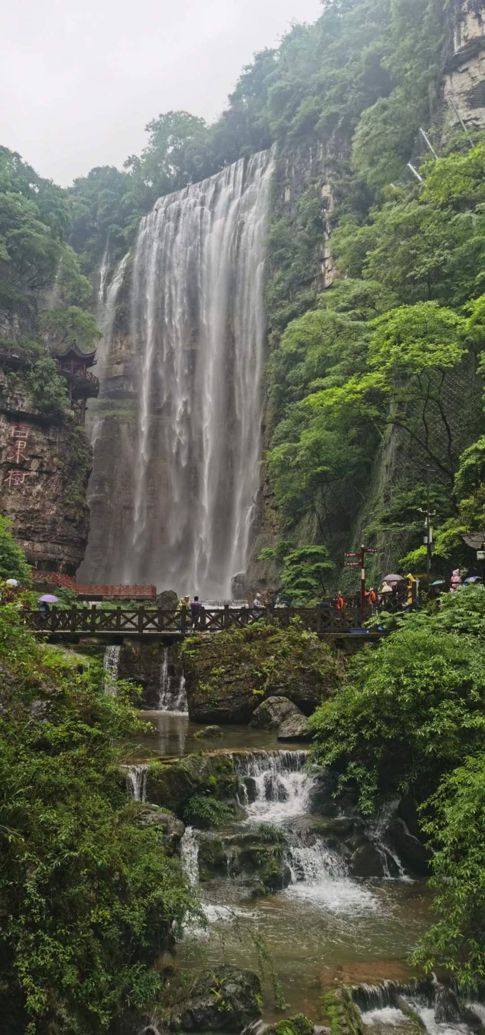 0EUHox7NJT4_NTiJGiP6KJB9Lxyhjxt36EnyYEoyNix76ijZMHRddqEqeOoMGhpb