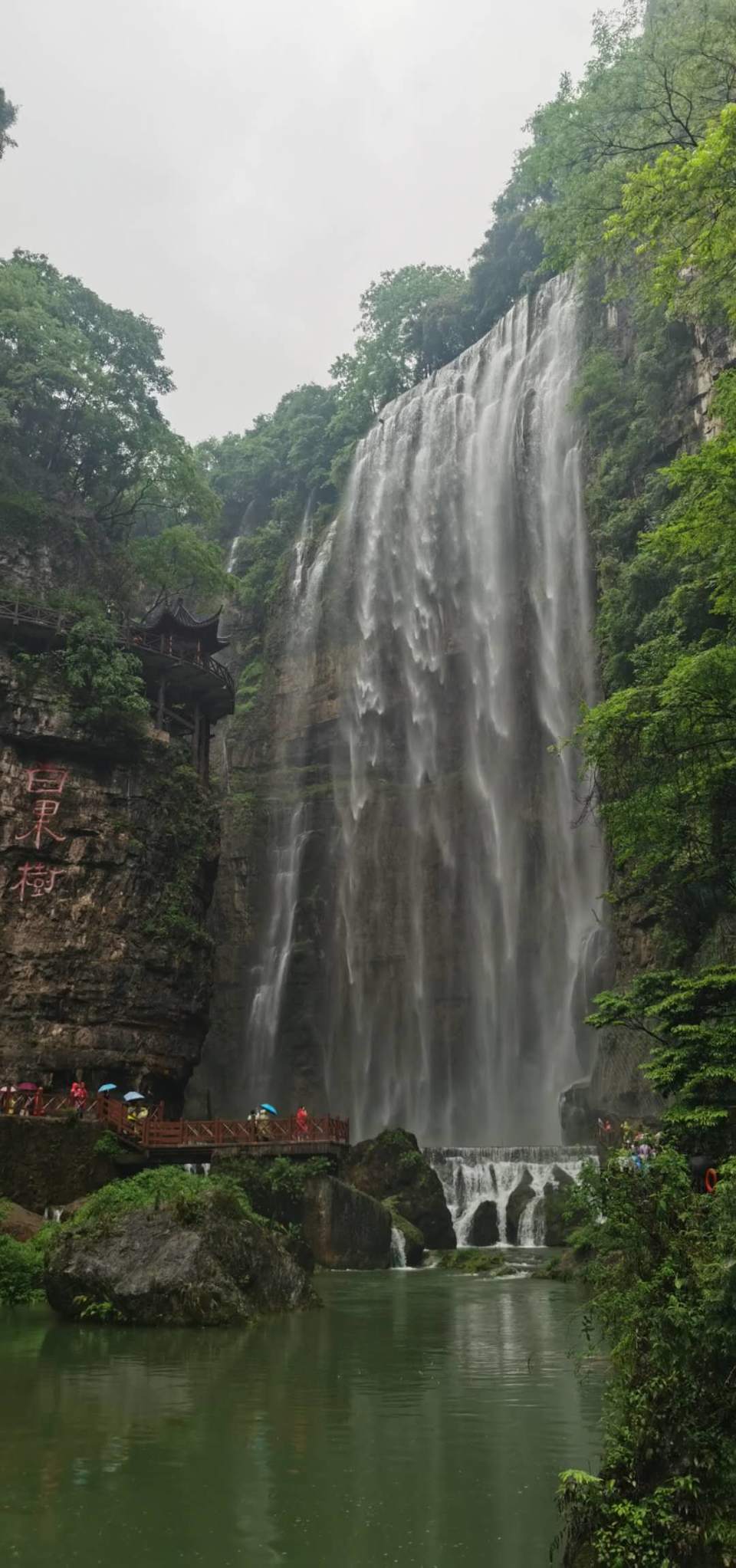 sNjDh0mnzDZbv3aObzuPG3BdnioOLMAKIGG0JF0jqRmdLgmMHavsnyLE9d7RER6w