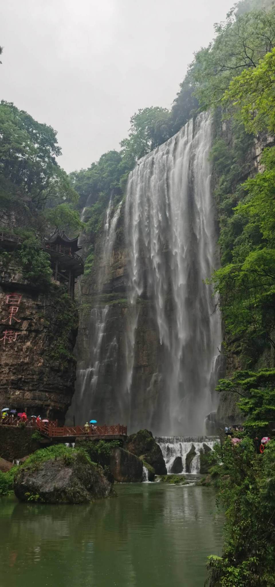 SRfyv9XoiVfsT2y236Eer1gp4ELlaI4w3uFxMZS2RQXtNf-tUr-9mjtbWMR5C4Ud