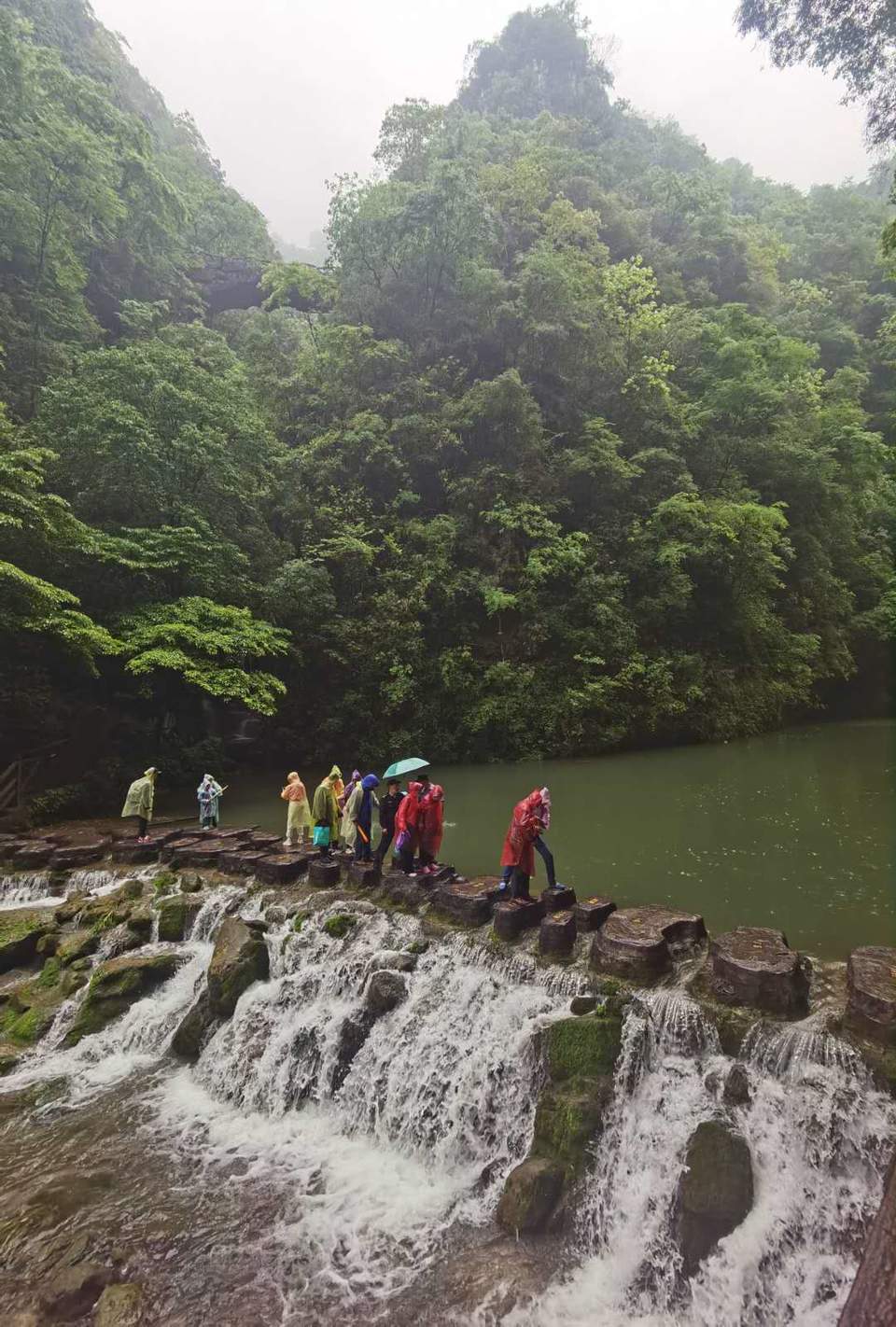 SpnZZgTAPC4_8YrjqWBByuVuzGQw5fS4iCvujW0tQ3I8fCAds6xxRjFF4869kAYG