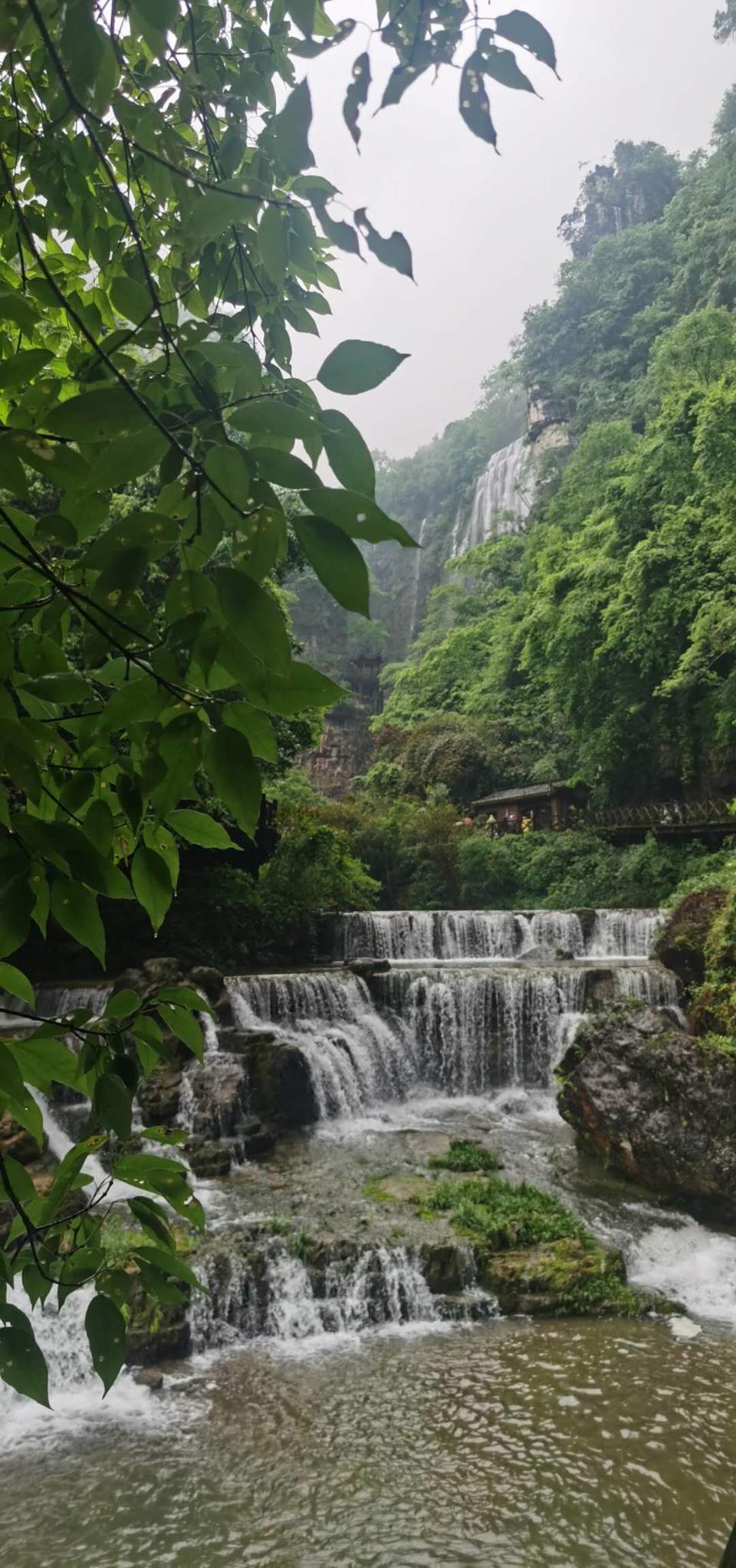 JSW-8Pjw8BLcaM_8PKbTKN0UOyS6ABdFV64619_B21rFufW8lsLzdSqFuH0e7VDE