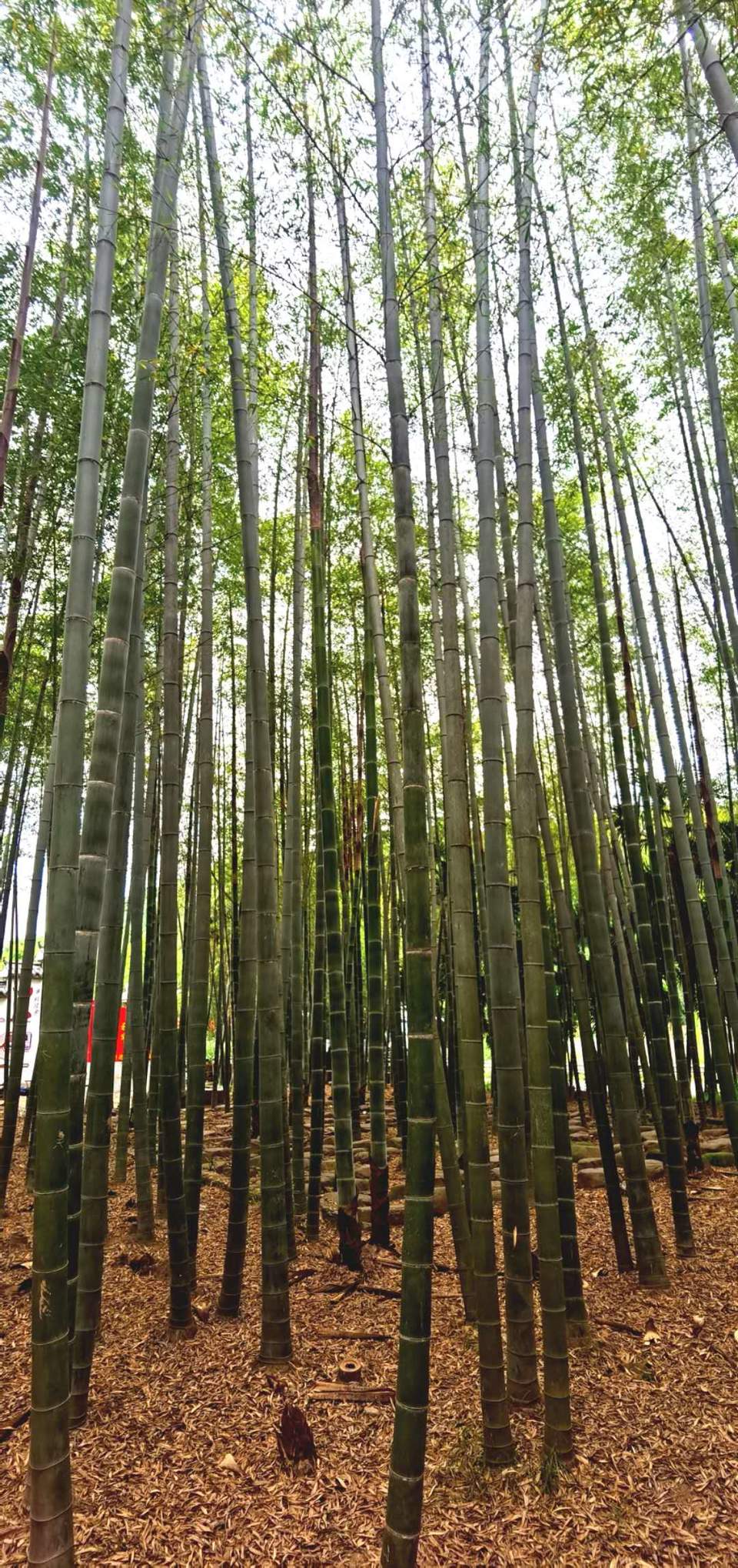 QNf-r54cCzXt5SddjjUo-sUv1hpxB2WFu9E7hILE5a17uiAjjsqdpDSzSpwlzgUw