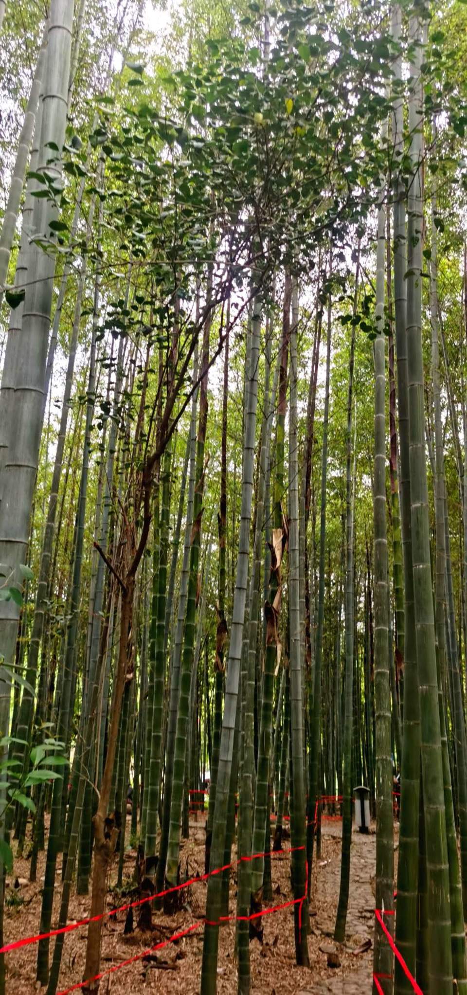 h5l4P-wmKpdpDjfjLk5gef8lG2FOZ5GxCUfi_vyNRsQtATVfNmORSysQJYD6EZIX