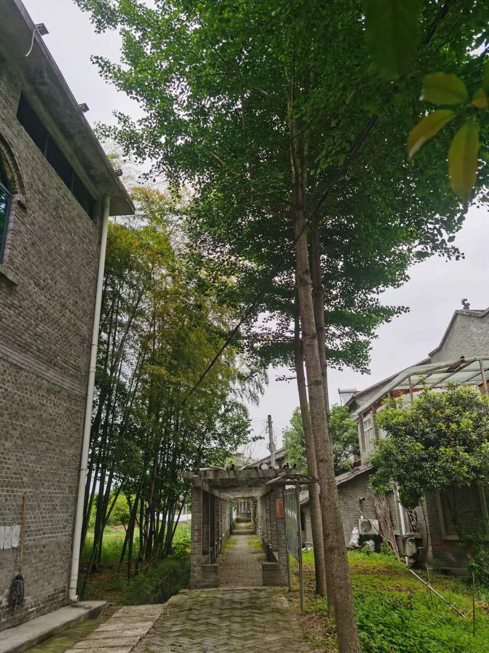 Wo4X4yVylDx4gZeZdsr4Udw4POKRb_fTngdjPnGicgSMvnYGkn3wMT5NXkELAFBv