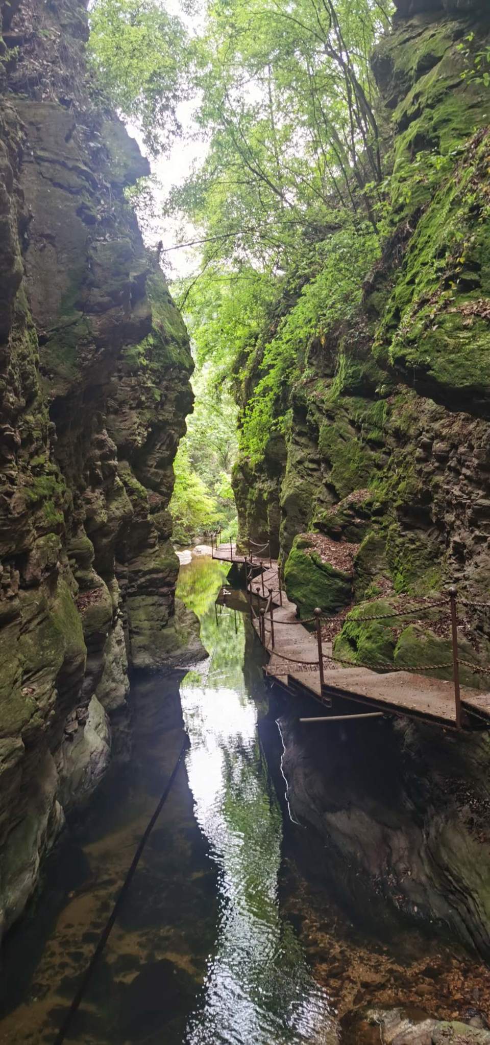 78JYPtnudGs0gC-9FthjR-f8QljA7JdwxRmRDETxRY7MRONTm73oxGGDajJAxYZ9